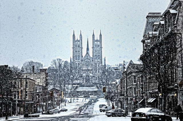 Guelph Winter