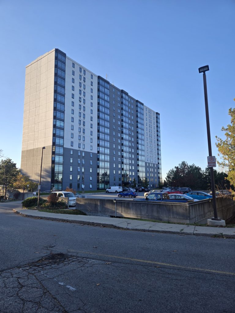 20241107 155913 image